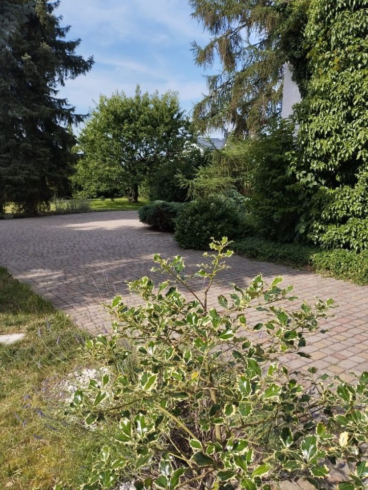 dom wolnostojący Strażów. Zdjęcie 19