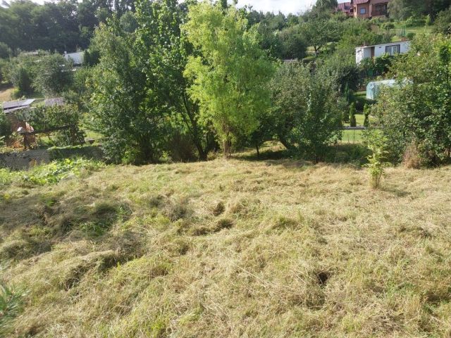 Działka rod Czarnków. Zdjęcie 1