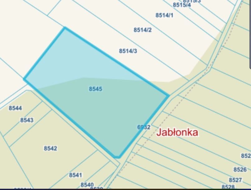 Działka rolna Jabłonka. Zdjęcie 2