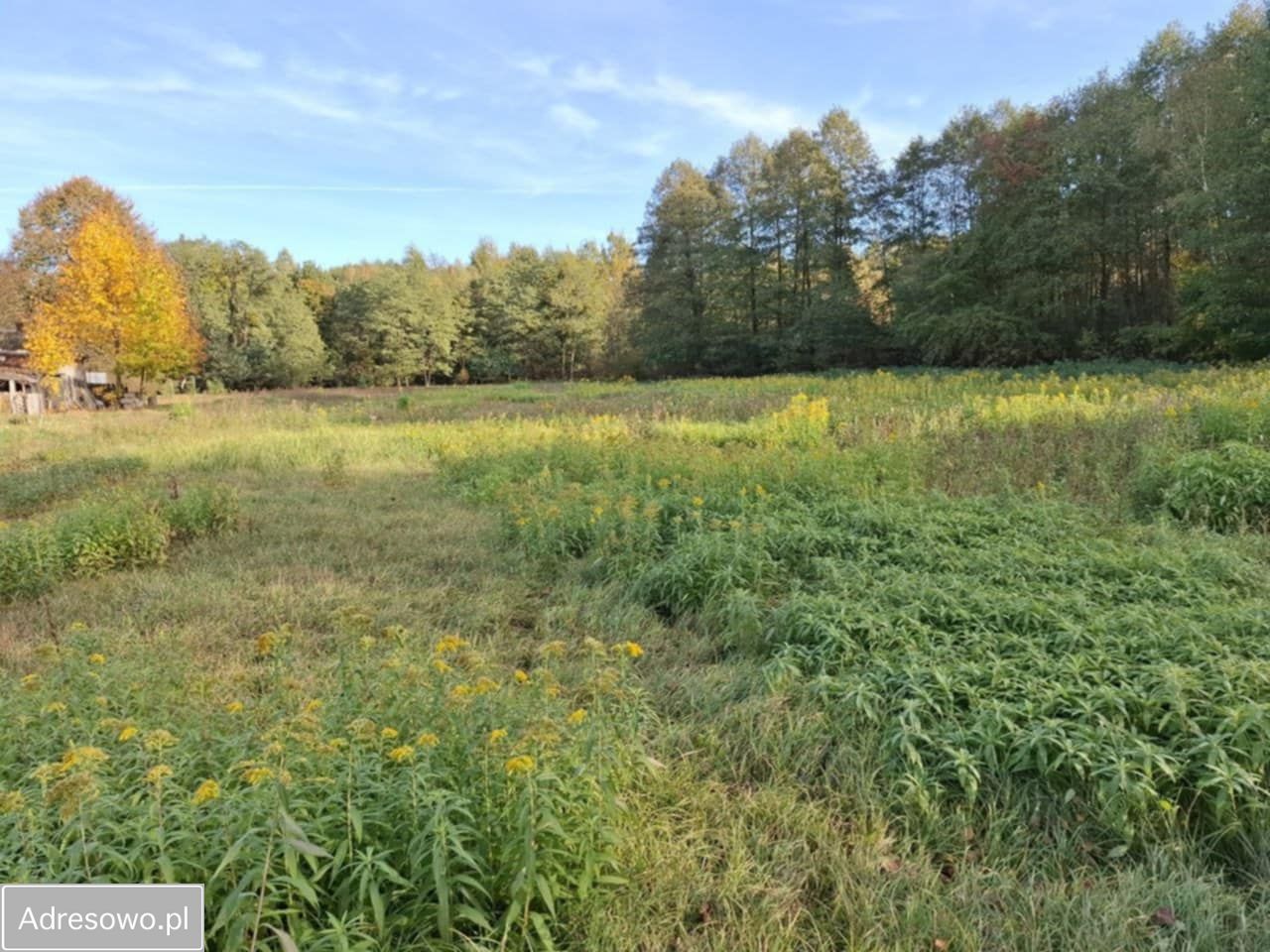 Działka rolno-budowlana Czarna Wieś