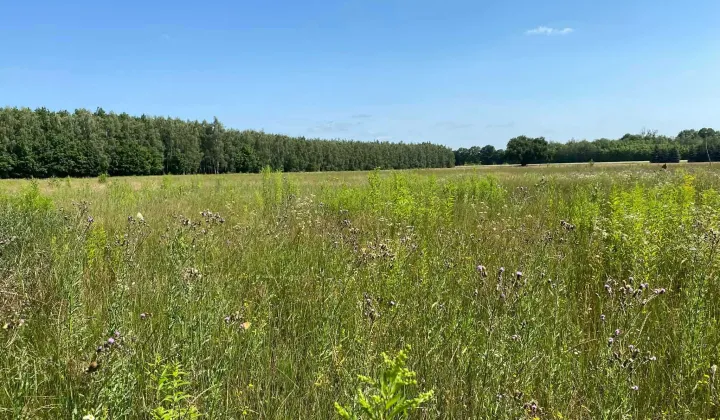 Działka budowlana Joniec-Kolonia