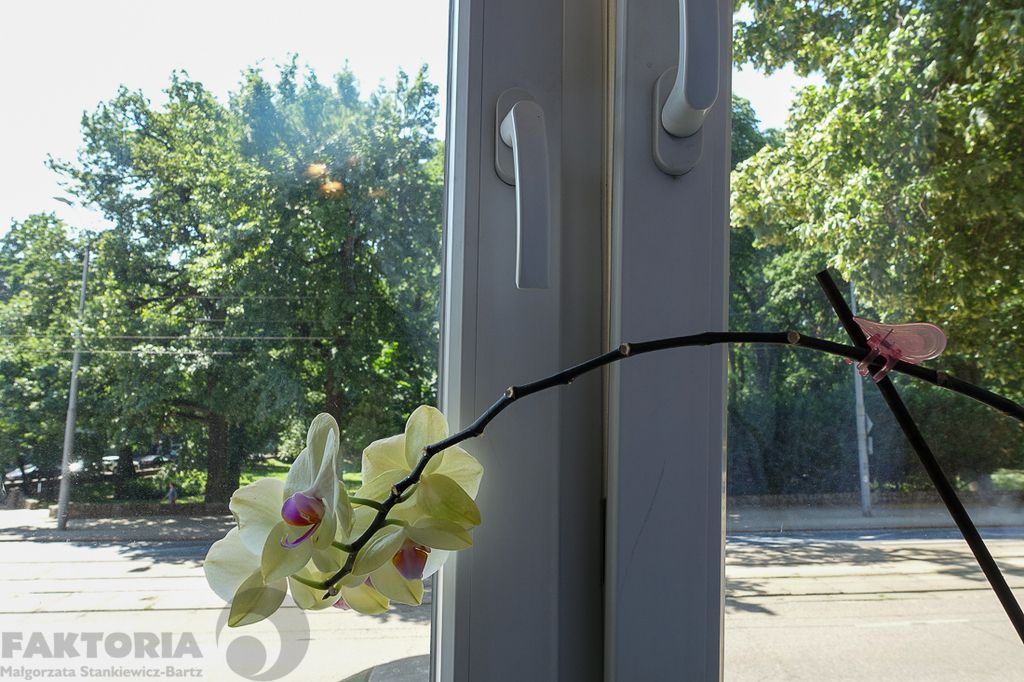 Mieszkanie 4-pokojowe Szczecin Śródmieście, ul. Jacka Malczewskiego. Zdjęcie 15