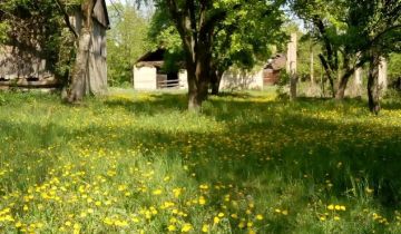 Działka siedliskowa Szumki