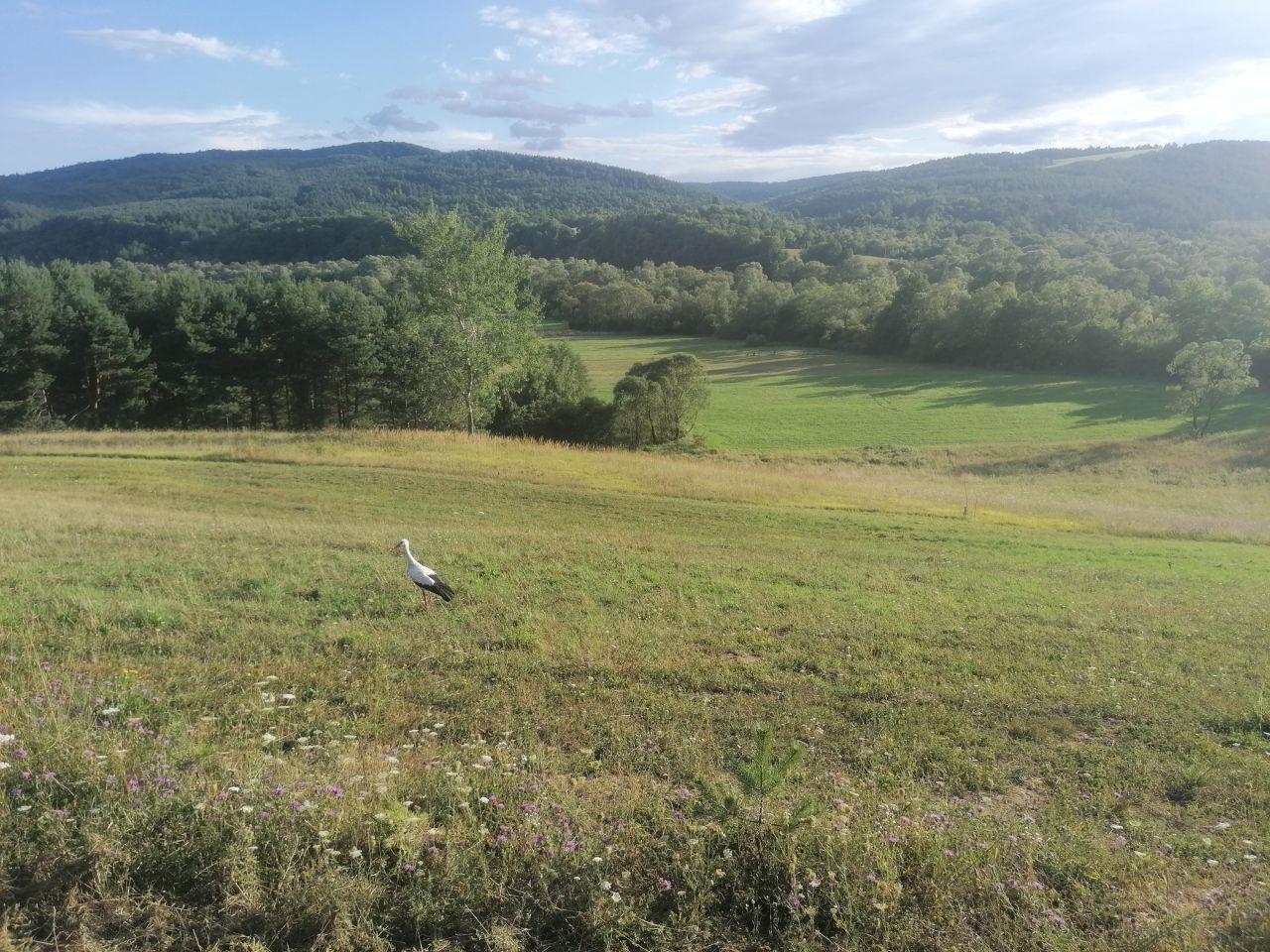 Działka rekreacyjna Rybotycze. Zdjęcie 49