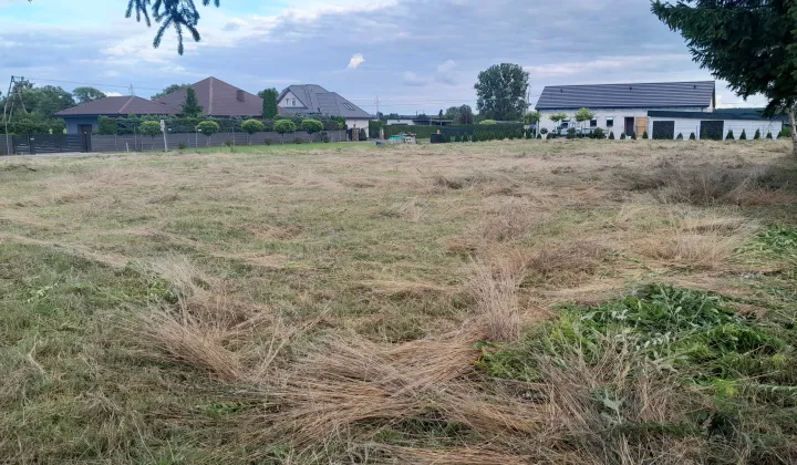 Działka rolno-budowlana Dębno, ul. Chojeńska