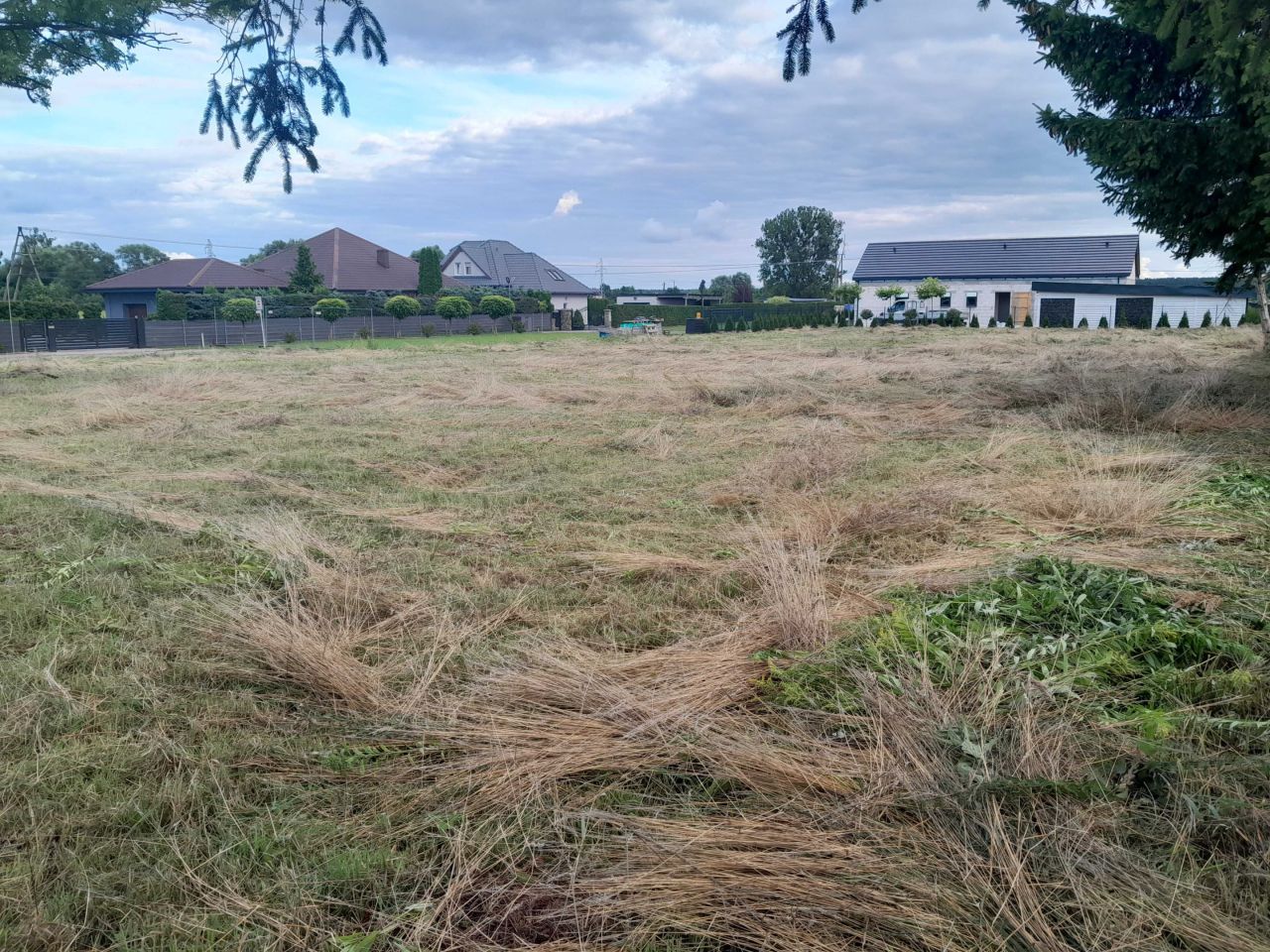 Działka rolno-budowlana Dębno, ul. Chojeńska. Zdjęcie 1