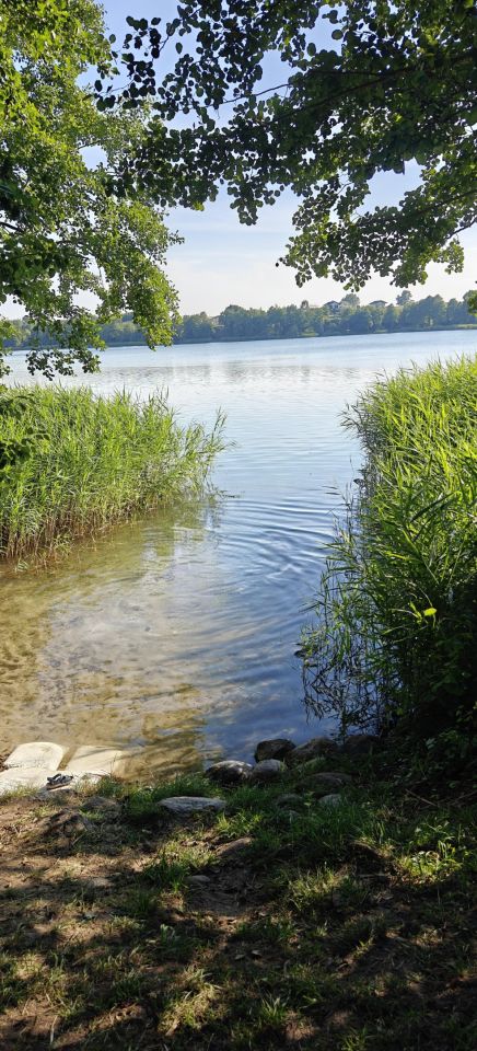 Działka rekreacyjna Lubotyń Bagno. Zdjęcie 30