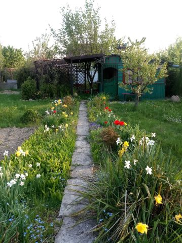 Działka rekreacyjna Świdnik. Zdjęcie 1