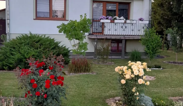 dom wolnostojący Budy