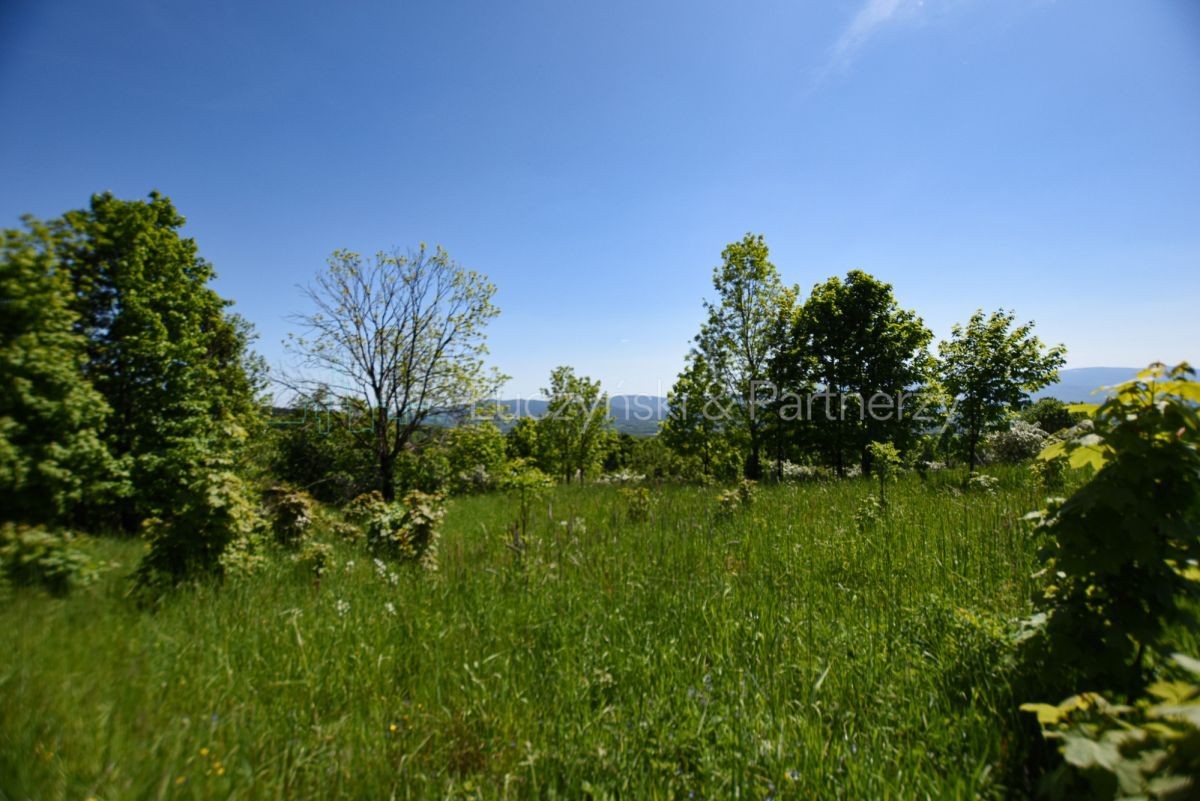 Działka inwestycyjna Komarno. Zdjęcie 4