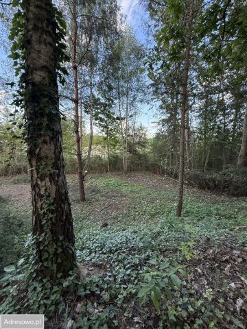 Działka rolno-budowlana Wielogóra, ul. Orkana. Zdjęcie 1