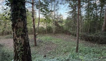 Działka rolno-budowlana Wielogóra, ul. Orkana