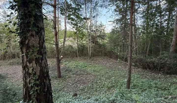 Działka rolno-budowlana Wielogóra, ul. Orkana