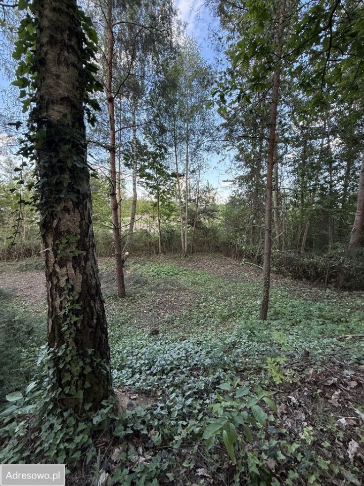 Działka rolno-budowlana Wielogóra, ul. Orkana