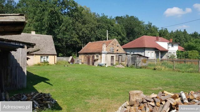 Działka siedliskowa Lubiszyn. Zdjęcie 1