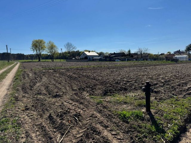 Działka rolno-budowlana Kraszewo. Zdjęcie 1