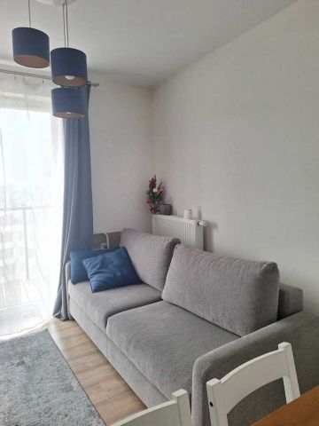 Mieszkanie 2-pokojowe Wrocław, ul. Piękna. Zdjęcie 3