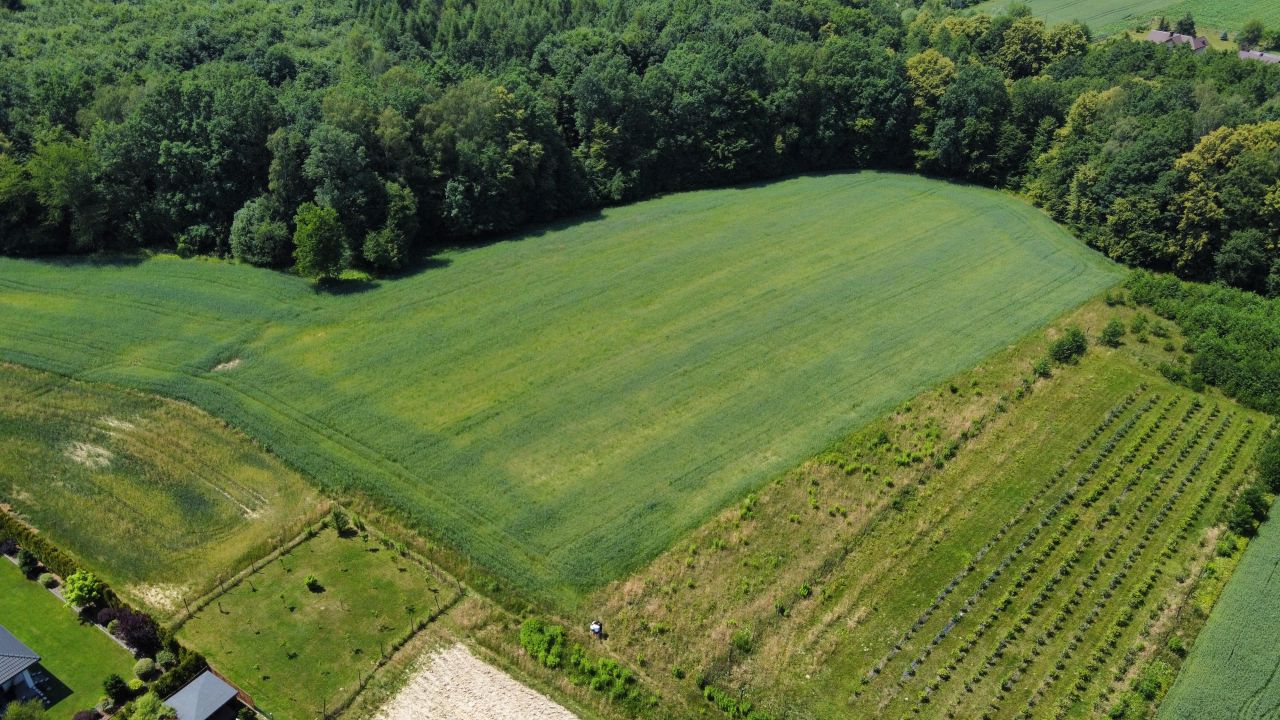 Działka inwestycyjna Hecznarowice, ul. Leśna. Zdjęcie 6