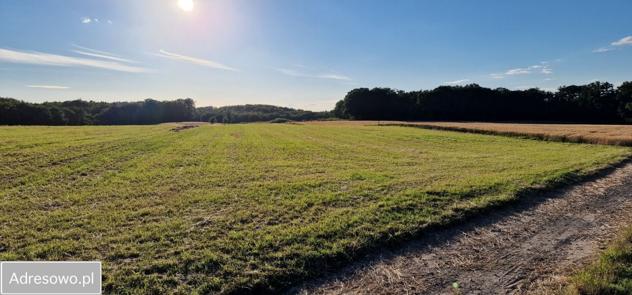 Działka rolna Przęsocin. Zdjęcie 2