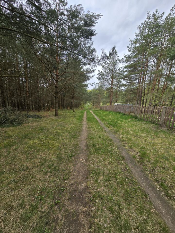 Działka leśna Ruś. Zdjęcie 4