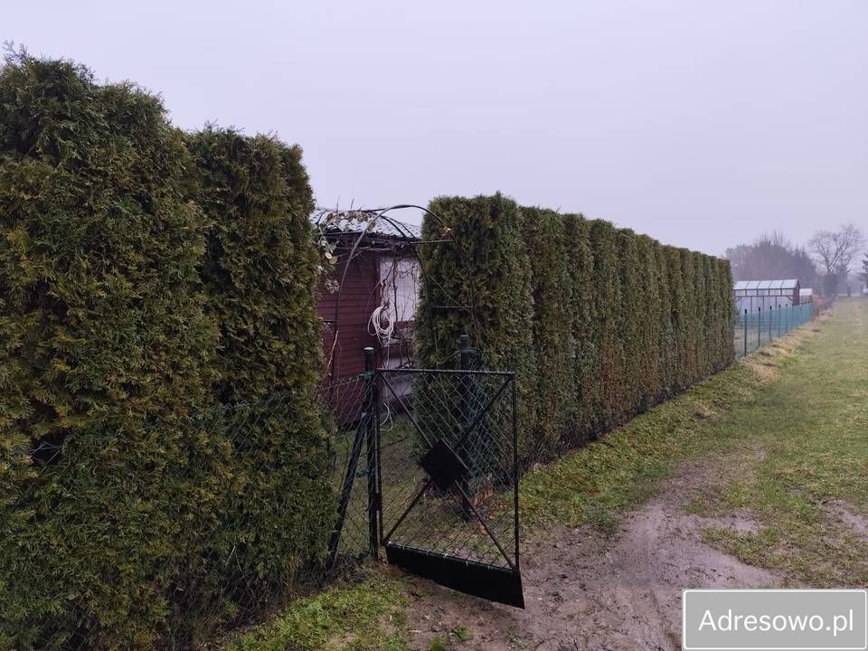 Działka rod Człuchów. Zdjęcie 8