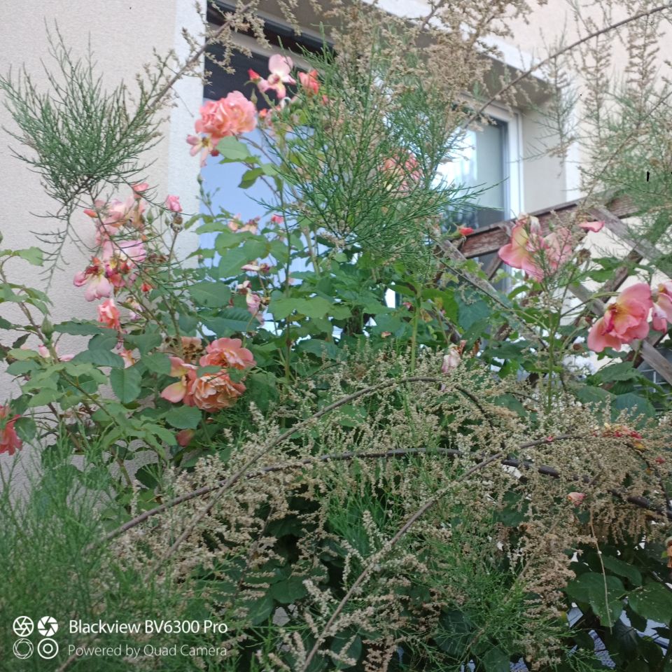 Mieszkanie 2-pokojowe Słupsk Nadrzecze , ul. Joachima Lelewela. Zdjęcie 14