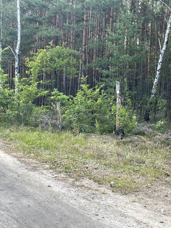 Działka budowlana Otwock Soplicowo, ul. Bernardyńska. Zdjęcie 3