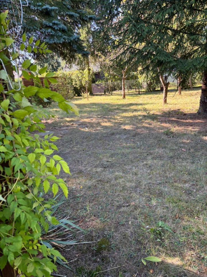 Działka rod Kajetany. Zdjęcie 6