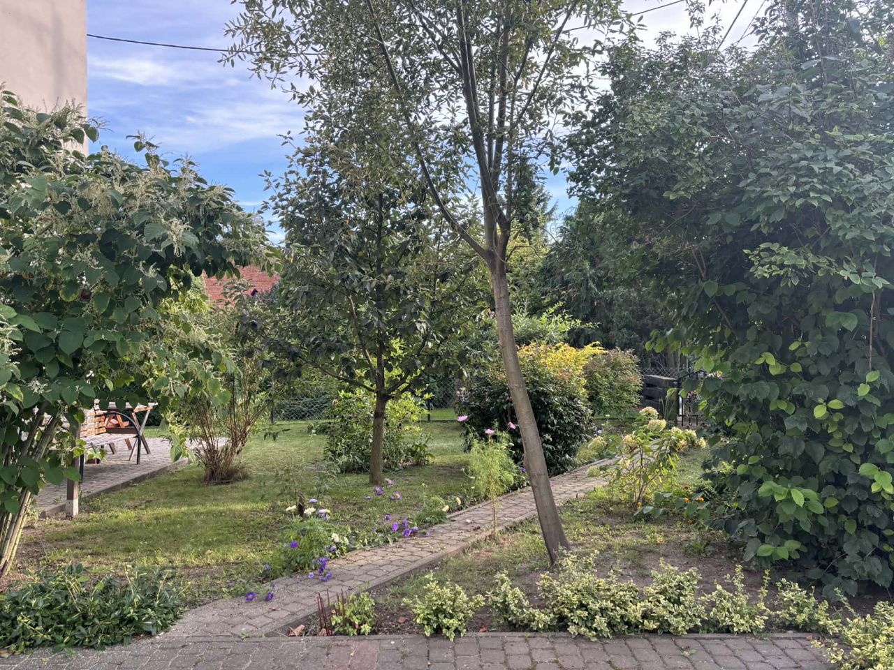 dom wolnostojący, 5 pokoi Rypin, ul. 3 Maja. Zdjęcie 34