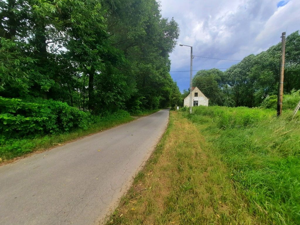 Działka budowlana Sokołowice Sokołowice. Zdjęcie 1