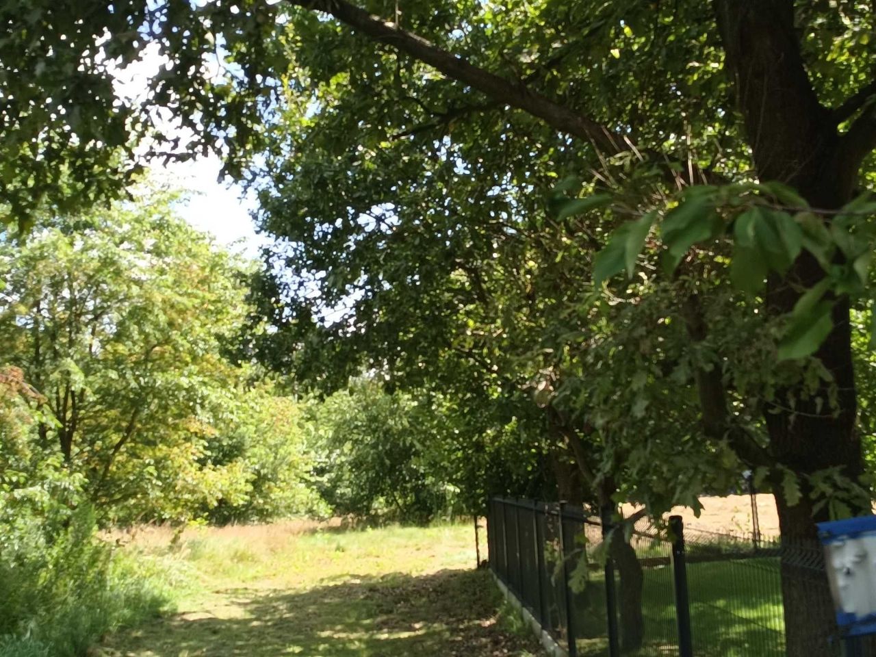 Działka rolna Rybnik. Zdjęcie 3