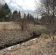 Działka budowlana Skoroszów, ul. Leśna. Zdjęcie 3