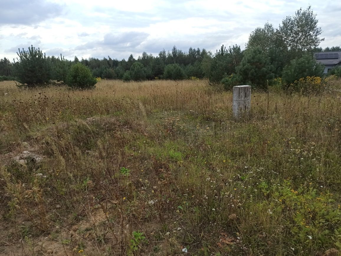 Działka budowlana Biała. Zdjęcie 5