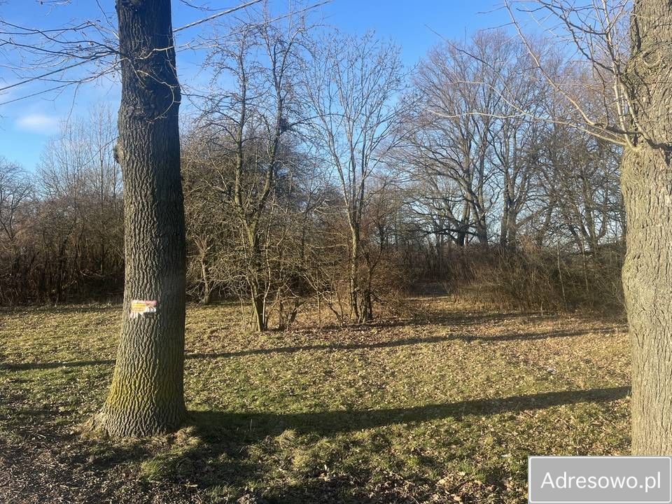 Działka siedliskowa Elżbietów. Zdjęcie 6