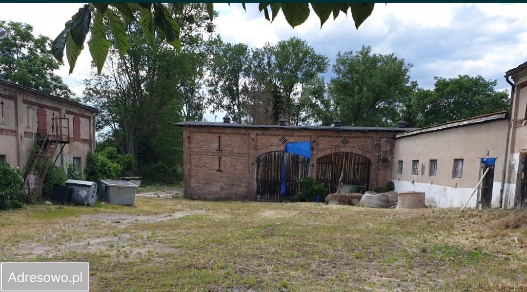 gospodarstwo, 7 pokoi Twierdzielewo. Zdjęcie 5