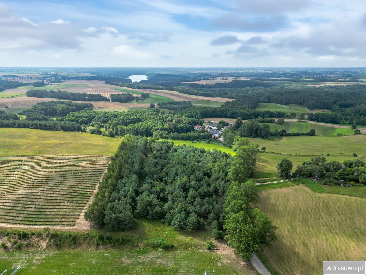 Działka rolno-budowlana Lorki. Zdjęcie 6