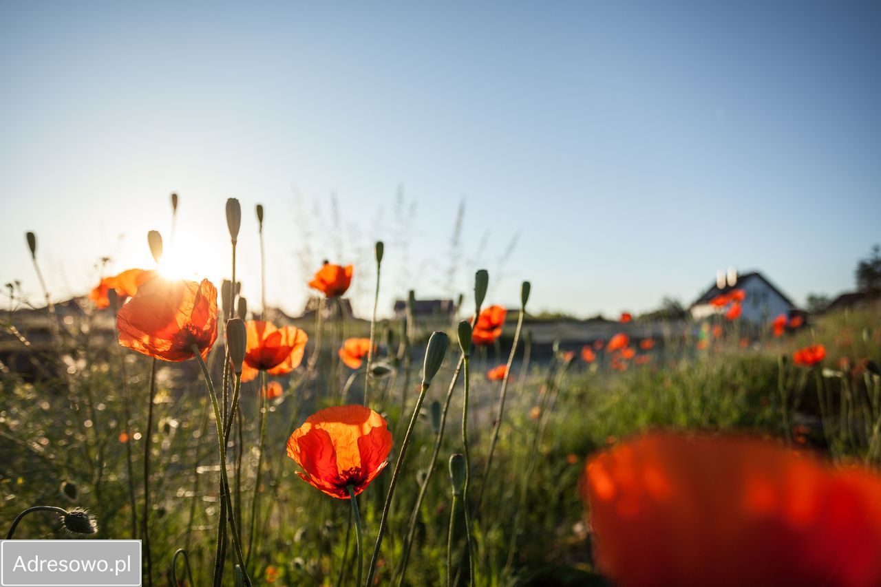 bliźniak, 5 pokoi Górki. Zdjęcie 9