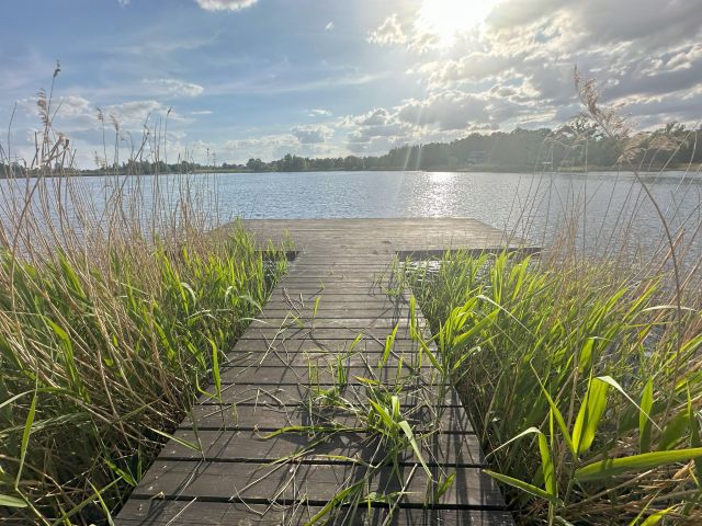 Działka budowlana Brzuze. Zdjęcie 5