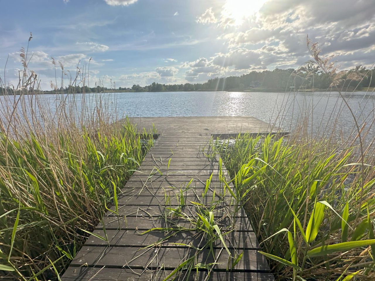 Działka budowlana Brzuze. Zdjęcie 5