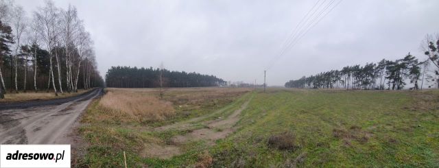 Działka budowlana Murzynowiec Leśny. Zdjęcie 3