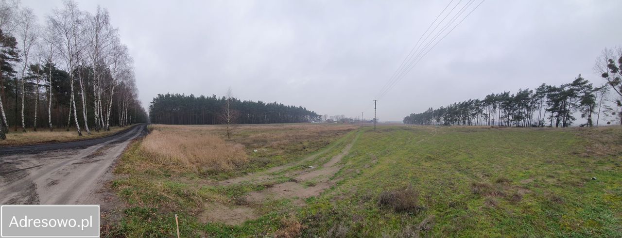 Działka budowlana Murzynowiec Leśny. Zdjęcie 3