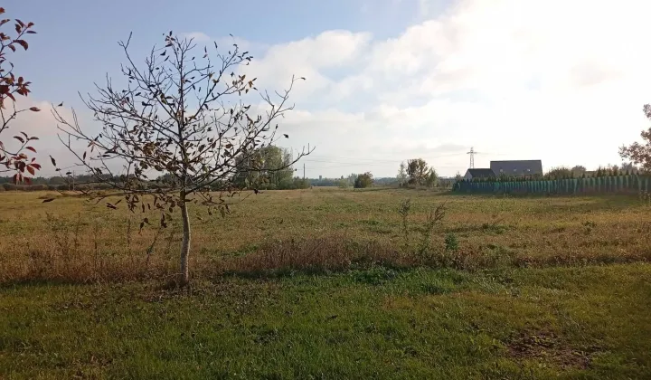 Działka rolna Okszów-Kolonia