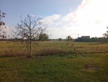 Działka rolna Okszów-Kolonia