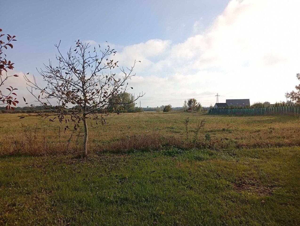 Działka rolna Okszów-Kolonia
