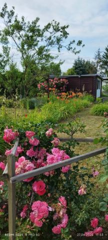 Działka rod Krotoszyn, ul. Bolewskiego. Zdjęcie 1