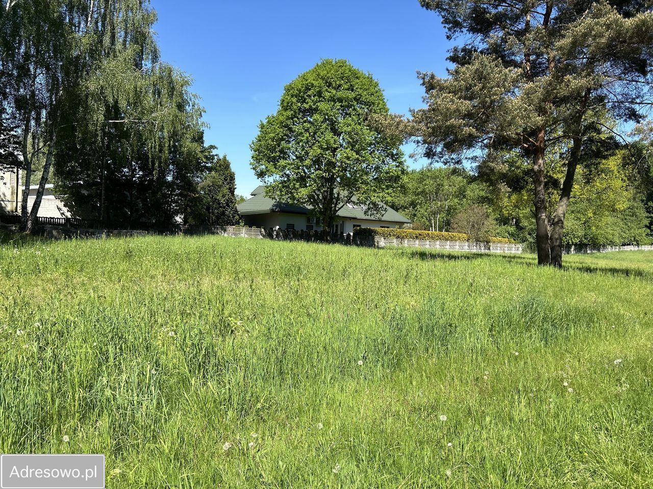 Działka budowlana Borowina, ul. Zaleśna