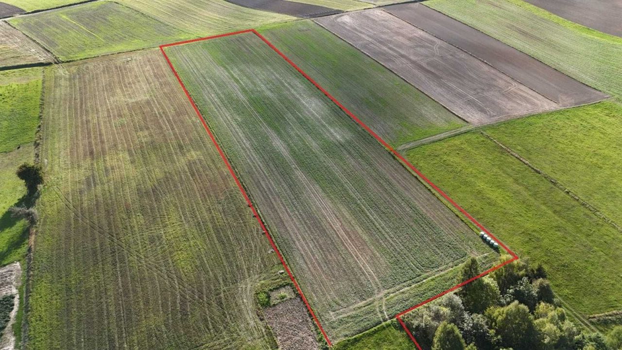 Działka rolno-budowlana Minoga. Zdjęcie 5