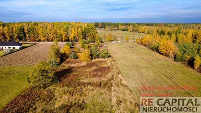 Działka budowlana Borzęcin Duży. Zdjęcie 1