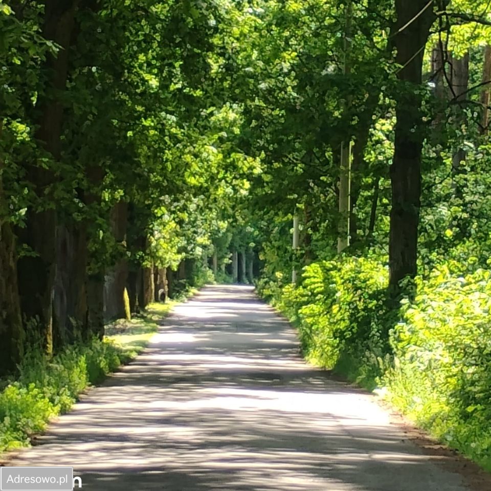 Działka budowlana Silniczka, ul. Zielona. Zdjęcie 2