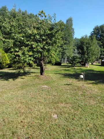 Działka inna Ladeniska. Zdjęcie 1